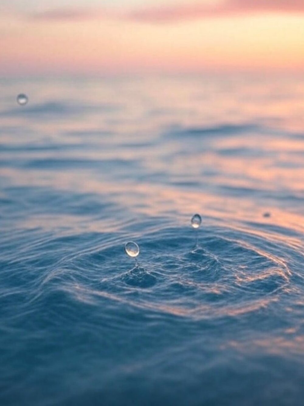 Droplet Collection - Picture 4 of 4